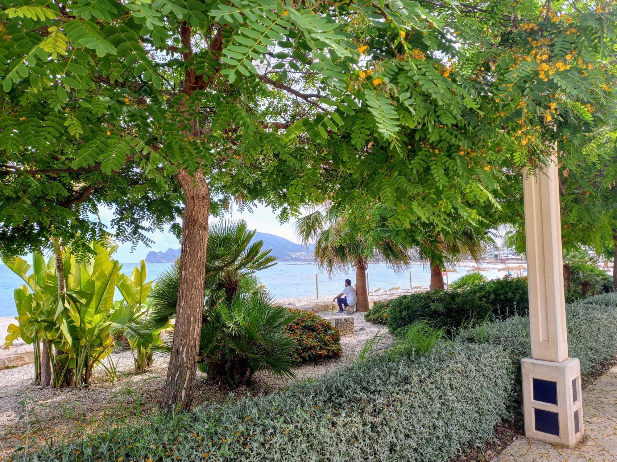Townhouse Los Olivos M Altea Exteriör bild